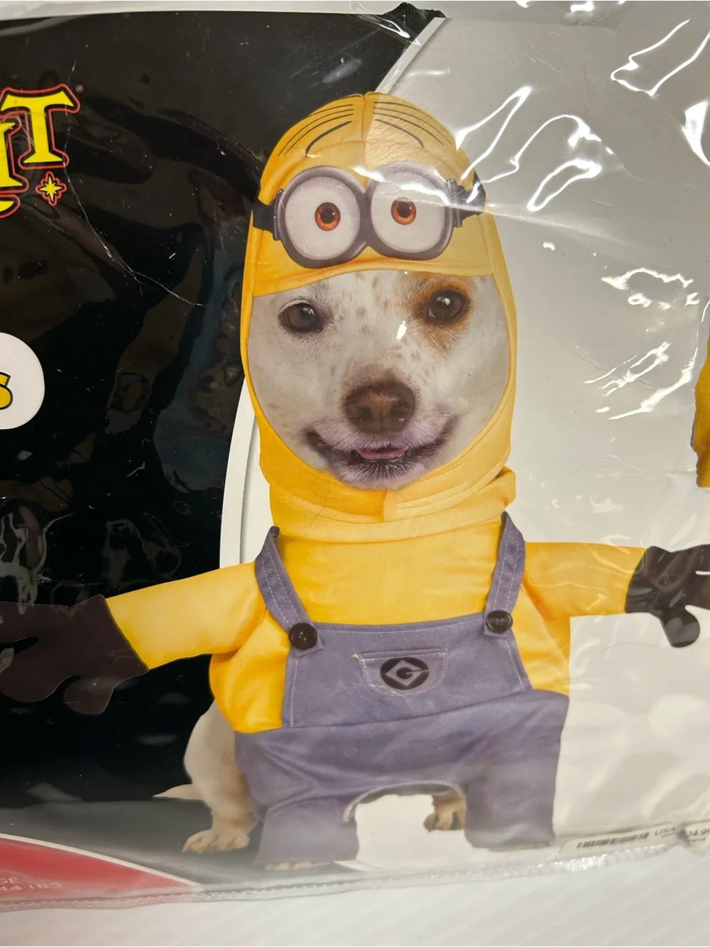 Minions Dave Dog Pet Halloween Costume Size Large 29-44 lbs